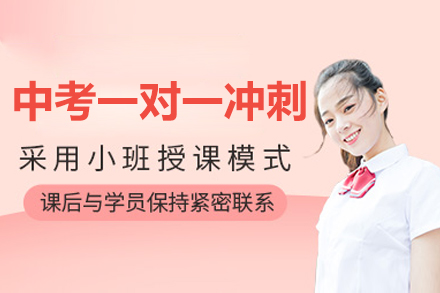 北京中考一对一冲刺课程