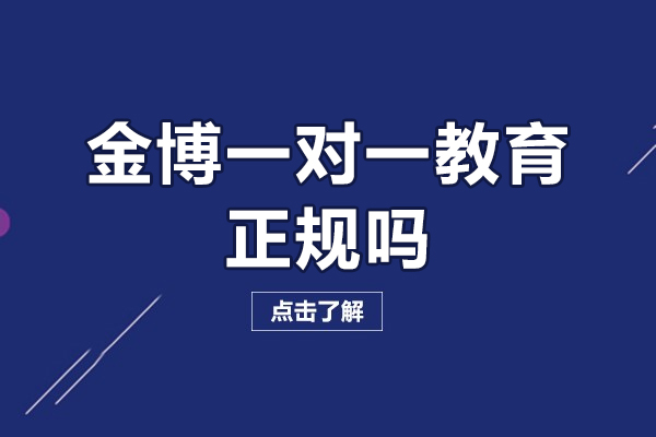 北京金博一对一教育正规吗