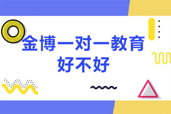 北京金博一对一教育好不好