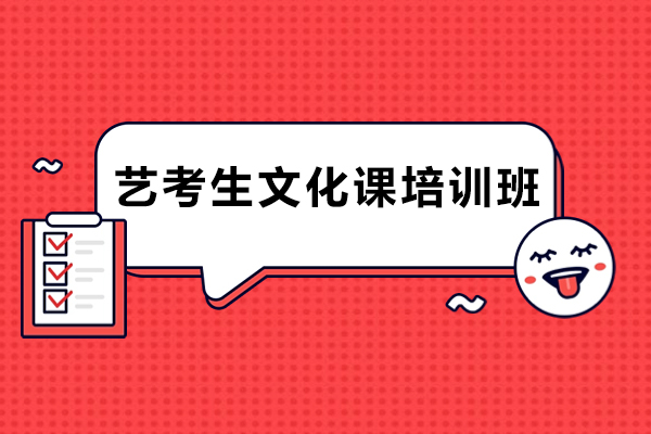 天津艺考生文化课培训班-艺考生文化课冲刺班