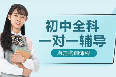 南京初中全科一对一辅导班