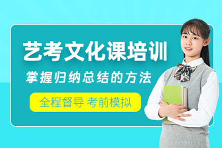 南京艺考文化课培训班