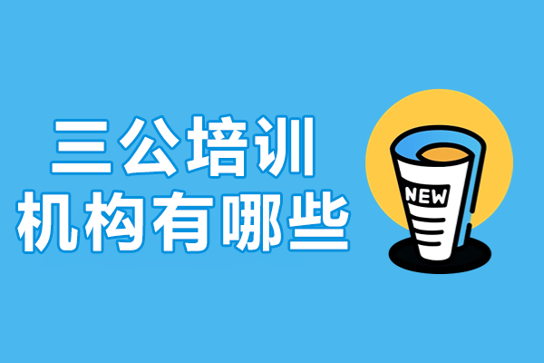 上海三公培訓(xùn)機(jī)構(gòu)有哪些