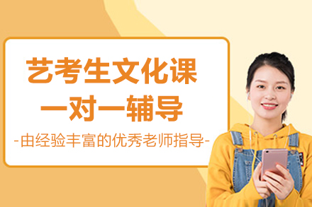 北京艺考生文化课一对一辅导