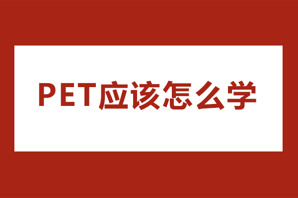 PET应该怎么学