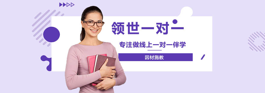 领世一对一学校简介
