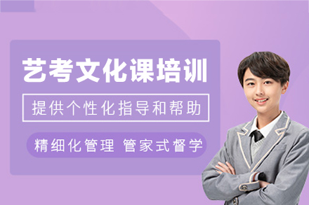 乌鲁木齐艺考文化课培训班
