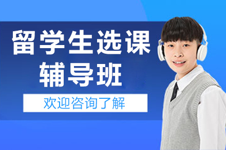 留学生选课辅导班