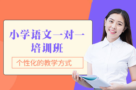 乌鲁木齐小学语文一对一培训班