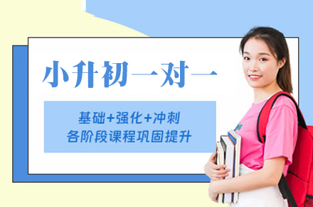 乌鲁木齐小升初一对一培训班