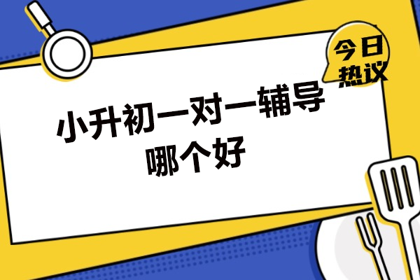 乌鲁木齐小升初一对一辅导哪个好