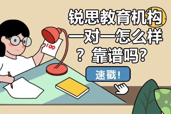 南京锐思教育机构一对一怎么样-靠谱吗？