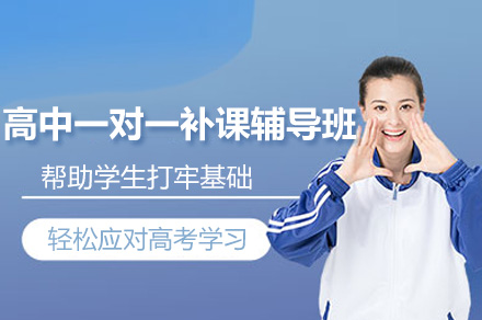 南京高中一对一补课辅导班