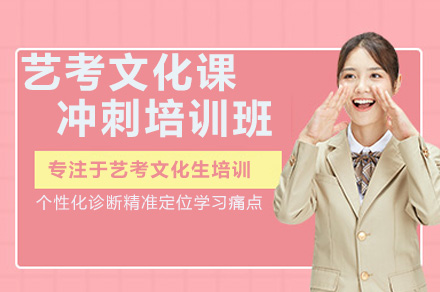 南京艺考文化课冲刺培训班