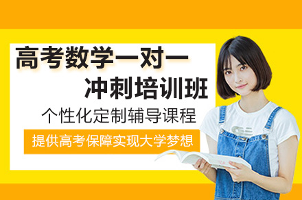 南京高考数学一对一冲刺培训班