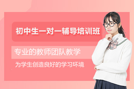 南京初中生一对一辅导培训班