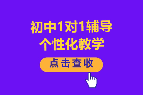 初中1对1辅导-南京锐思教育个性化教学