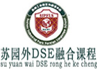 苏园外DSE融合课程