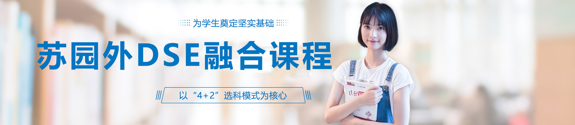 苏园外DSE融合课程