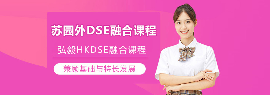 苏园外DSE融合课程