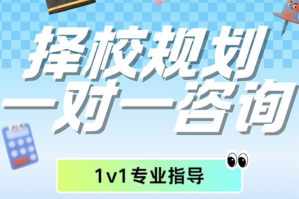 上海国际学校1v1择校规划培训班