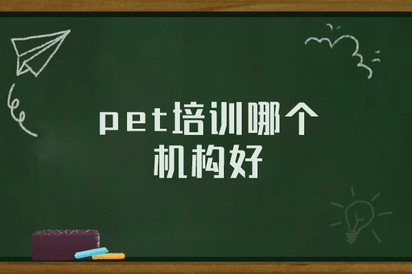 厦门pet培训哪个机构好