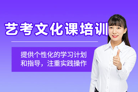 成都艺考文化课培训