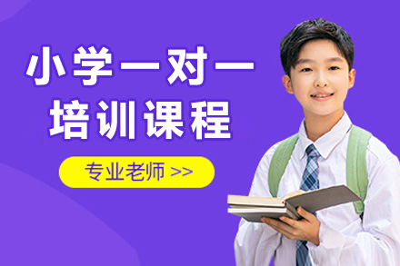 成都小学一对一培训