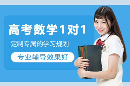 高考数学1对1培训班