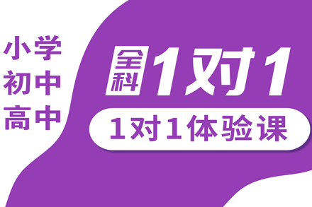 小学、初中、高中一对一辅导