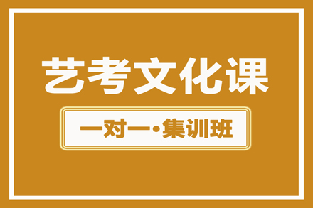 高三艺考生文化课辅导