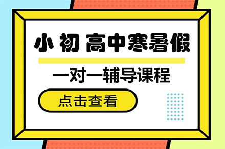 小、初、高中寒暑假一对一辅导课程