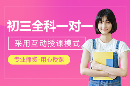 北京初三全科一对一辅导