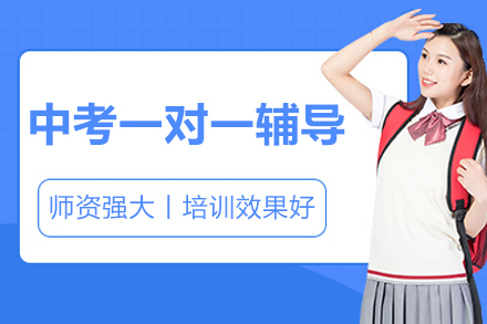 北京中考一对一辅导