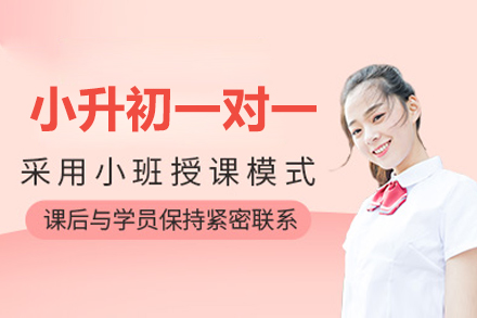 北京小升初一对一辅导