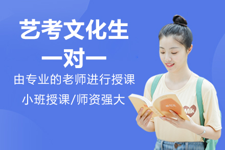 北京艺考文化生一对一辅导