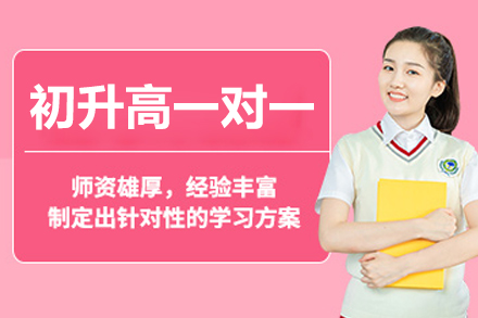 北京初升高一对一辅导班