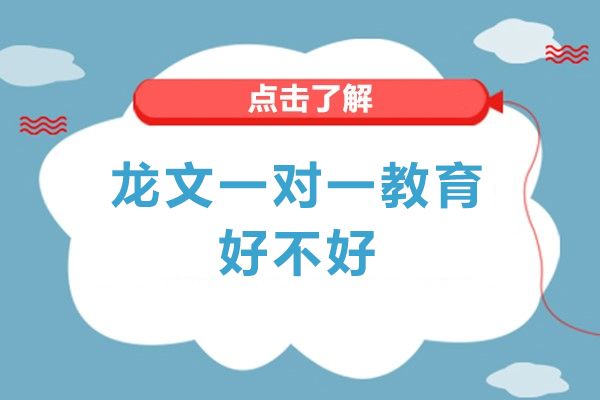 北京龙文一对一教育好不好