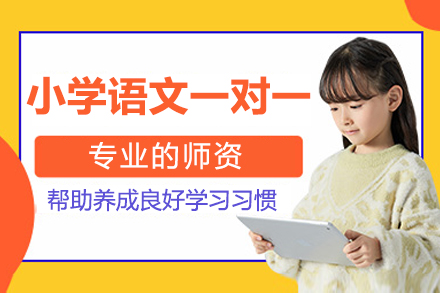 北京小学语文一对一课程