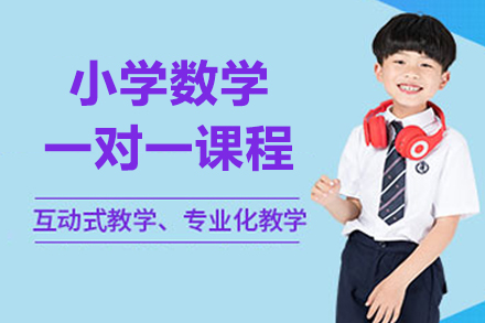 北京小学数学一对一课程