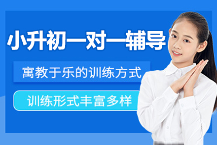 北京小升初一对一辅导