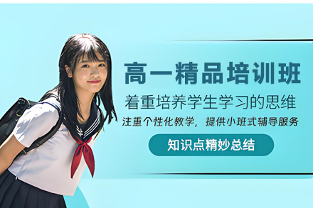 高一精品培训班