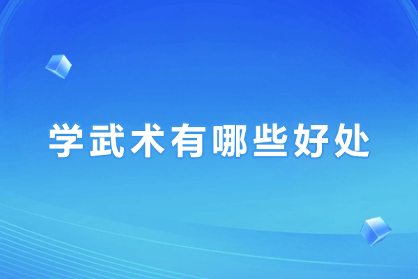 学武术有哪些好处-学武术有什么好处