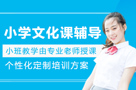 大连小学文化课辅导班