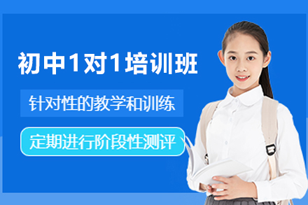 初中一对一全能班