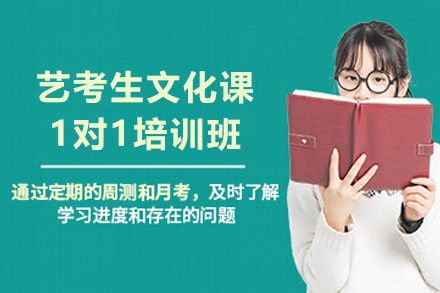 艺考生文化课一对一