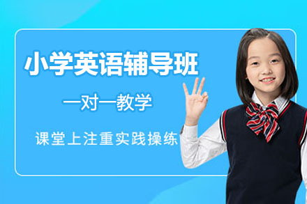 杭州小学英语一对一特色辅导班