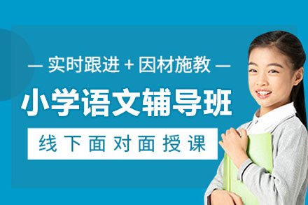 杭州小学语文一对一精讲辅导课程