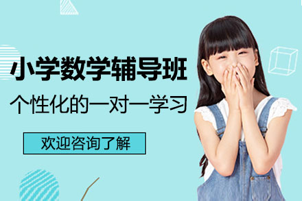 杭州小学数学一对一精品辅导班