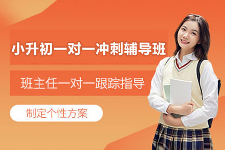 杭州小升初一对一冲刺辅导班